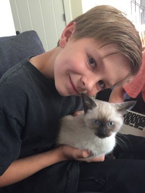 cat for adhd and fasd