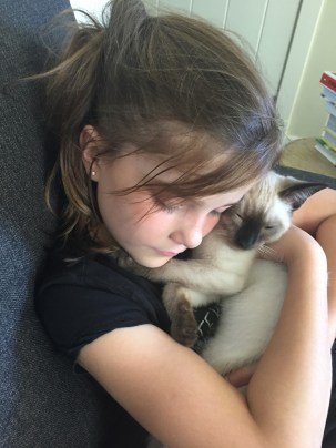 cat for adhd and fasd