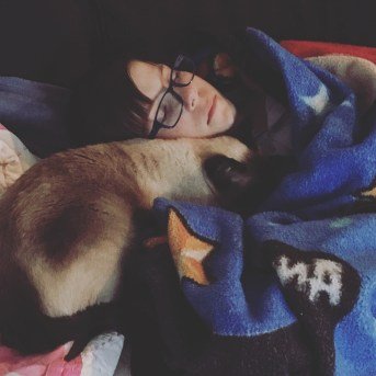 cats for adhd and fasd