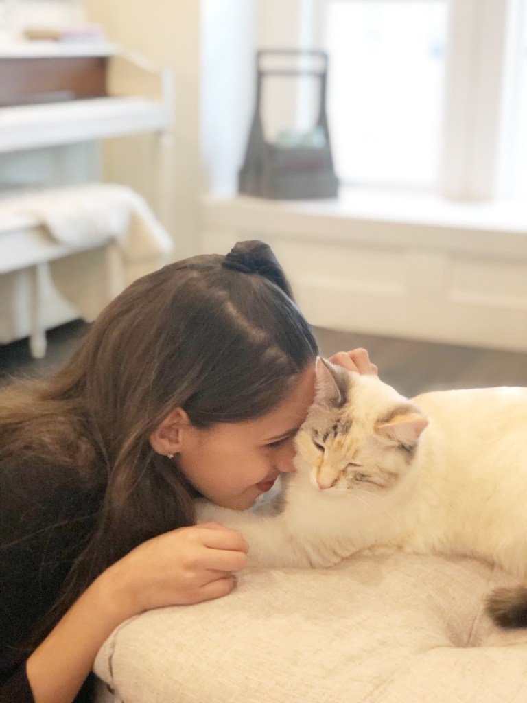 How cats help with adhd and fasd