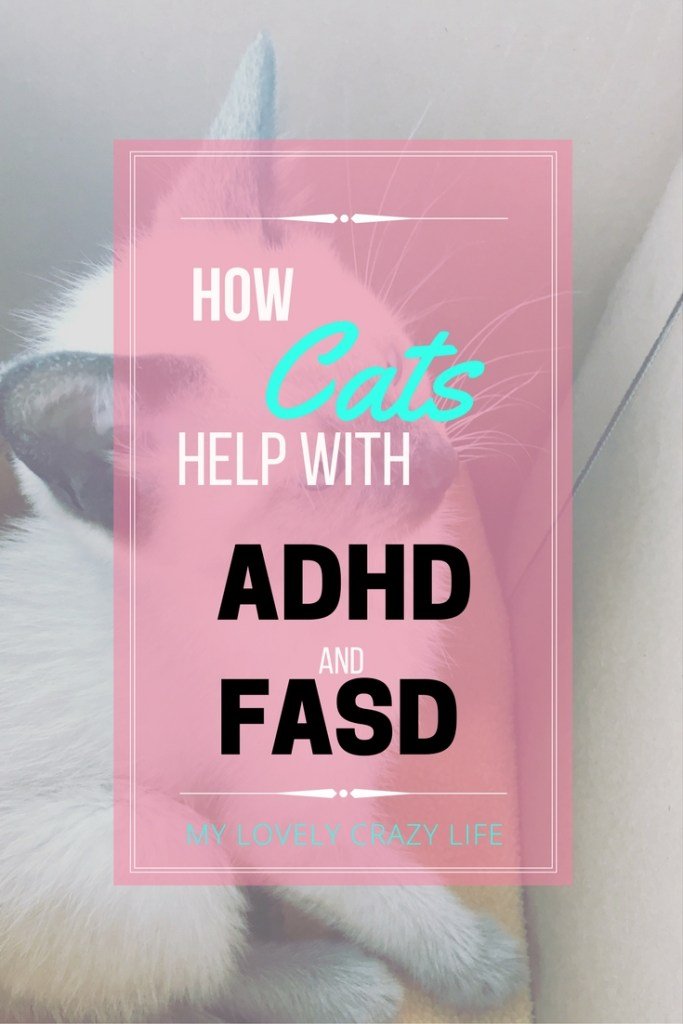 cats for adhd and fasd